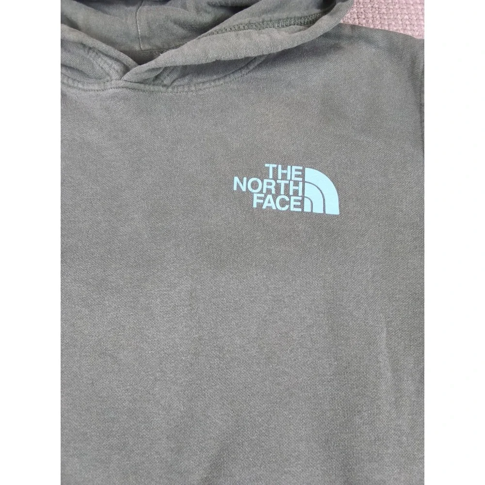 The North Face Men's Graphic Injection Hoodie Sage Green Elk Nature Print Fleece